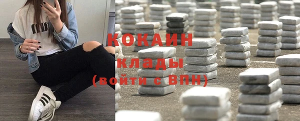 тгк Лиски