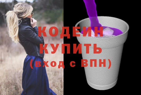 сатива Лабытнанги