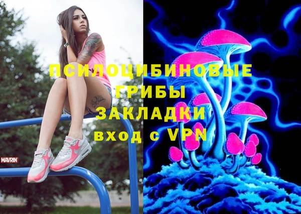 сатива Лабытнанги
