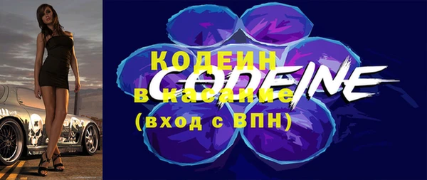 молекула духа Лихославль