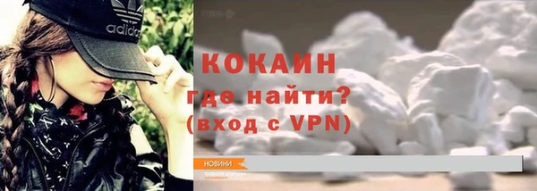сатива Лабытнанги