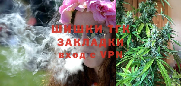 тгк Лиски
