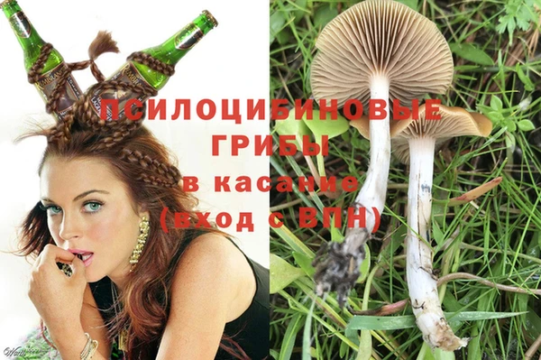 гидра Ладушкин