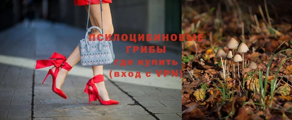 тгк Лиски