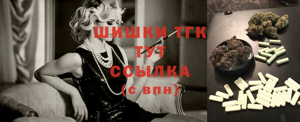 сатива Лабытнанги