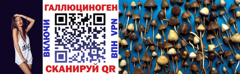 Галлюциногенные грибы ЛСД  Купить закладки  Петровск 