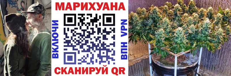 Купить где  Петровск  Бошки марихуана марихуана 